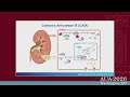 Should I Order a PET Scan? Integrating Molecular Imaging into Urologic Oncology Practice(2026)