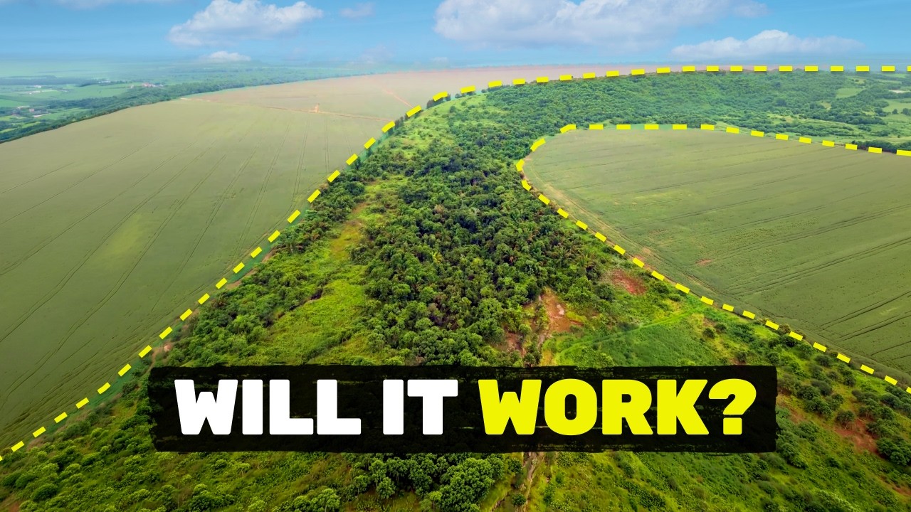 We’re building a GIANT nature corridor