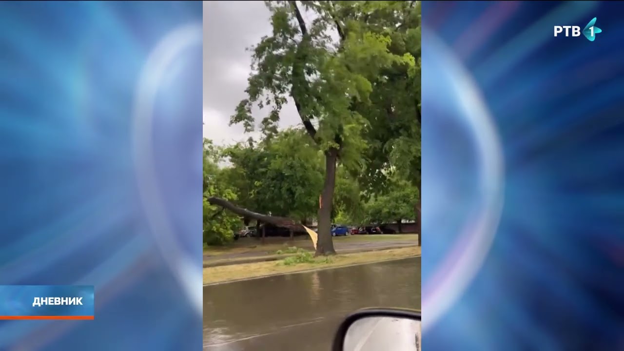 Snažno nevreme pogodilo Suboticu, Zrenjanin, Šid, Vrbas, vetar lomio grane sa drveća