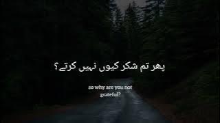 Surah Al-Waqiah | Verses 68-74 | English & Urdu Translation | Hamza Boudib | Whatsapp Status