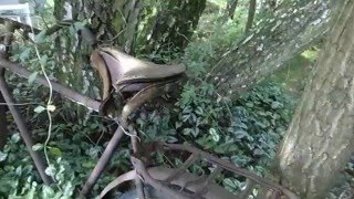 altes Fahrrad im Wald. Vintage Panther-Rad