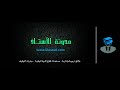 تأسيس قناة Lilostad TV