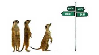 TELUS Commercial "Directions"