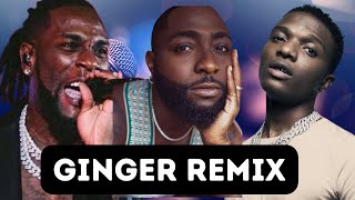 Wizkid Ft Davido & Burna Boy “Ginger” Remix (AI COVER)