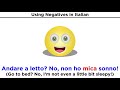 Italian Negatives and Their Usage