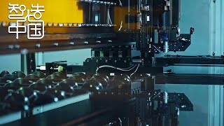 一双会纠错的眼！400毫秒就能判一张图片！「智造中国」| 财经风云