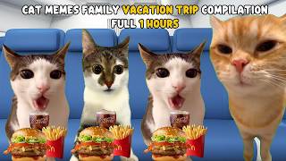 CAT MEMES: Family Vacation Trip Compilation Full 1 Hours