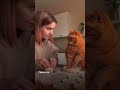 Новый способ заработка