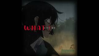 Animal Vanitas No Carte Vanitas Noe Edit