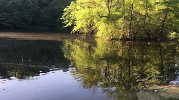 I Tried 7 Ways to Make Money Online in 2025 – This One Paid $18,473 in 30 Days