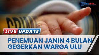 Janin 4 Bulan Ditemukan Terkubur di Pohon Pepaya di Palembang, Berawal dari Warga yang Cium Bau Amis