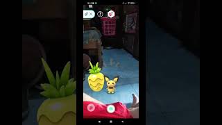 Give A food Pichu #shortvideo #shorts #short #pokemon #pokemongo #pichu #sugengmantap #food