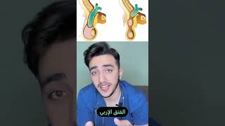 أسباب ألم الخصيتين