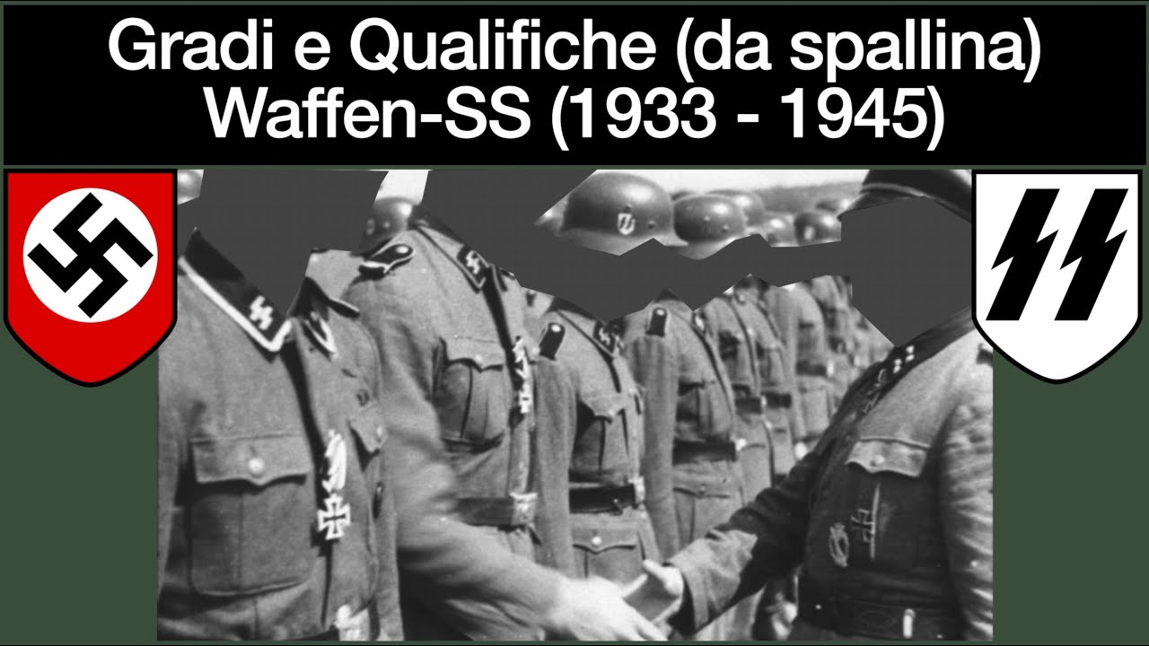 Gradi e Qualifiche Waffen-SS (1933-1945) - Spallina