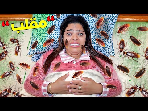 اخيرا عملنا مقالب لمدة 24 ساعة في المزرعة الجديدة وقعوا كوارث 