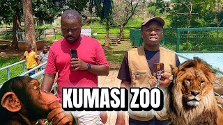 видео: #watch - СЕГОДНЯ В ЗООПАРКЕ КУМАСИ. ПРОСТО ПОСМОТРИТЕ👀 #zoo картинка: #watch - СЕГОДНЯ В ЗООПАРКЕ КУМАСИ. ПРОСТО ПОСМОТРИТЕ👀 #zoo