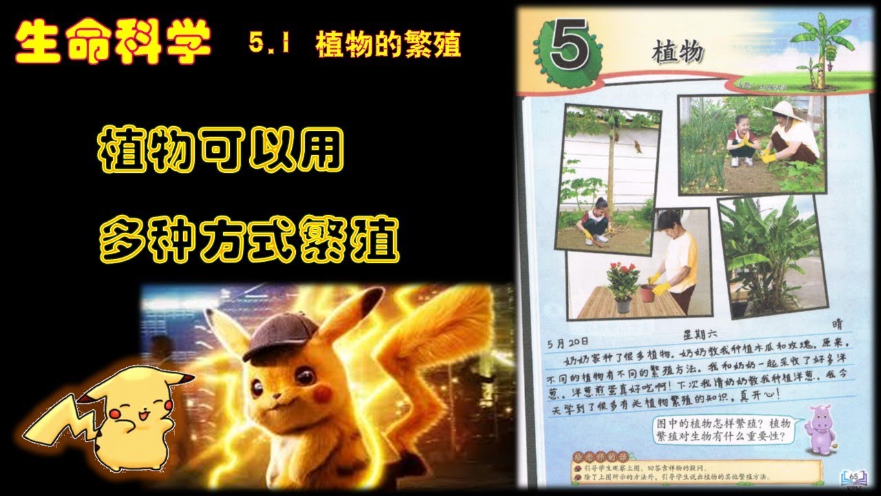 三年级植物可以用多种方式繁殖 Youtube
