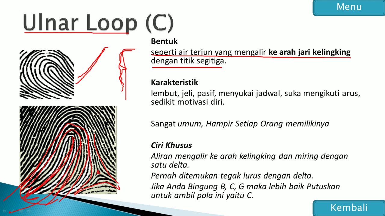 C Ulnar Loop Ketahui Bakat Sifat Kelebihan Dan Kelemahan Anda Sendiri Dengan Pola Sidik Jari Youtube