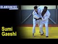 Sumi gaeshi  judo technique by darcel yandzi