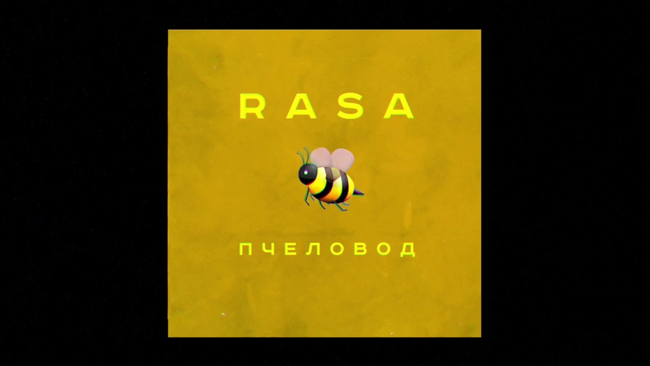 Песня ты пчела я пчеловод mp3. Пчеловод песня клип. Монстера песня пчеловод rasa 10. Мороженое песня пчеловод rasa.