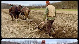 Plowing with Belgian draft horses. First a sulky plow, then a walking plow.