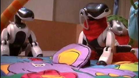 Intrinsically motivated learning and curiosity in The Playground Experiment (AIBO robot)