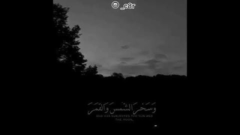 القارئ سلمان العتيبي / تلاوة خاشعة (لو اراد الله ان يتخذ ولدا) حالات واتس اب