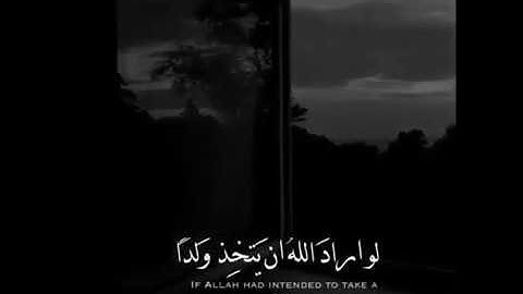 القارئ سلمان العتيبي / تلاوة خاشعة (لو اراد الله ان يتخذ ولدا) حالات واتس اب