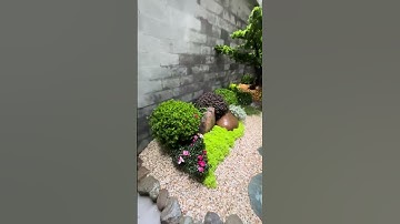 TIỂU CẢNH GIẾNG TRỜI  ĐẸP #honnonbo #canhquan #vuannonbo #hocakoi #kientrucvuon#shorts#sanvuon#chill