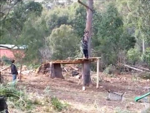 Backyard Flying Fox Making The Breaking And The Remaking Wmv Youtube
