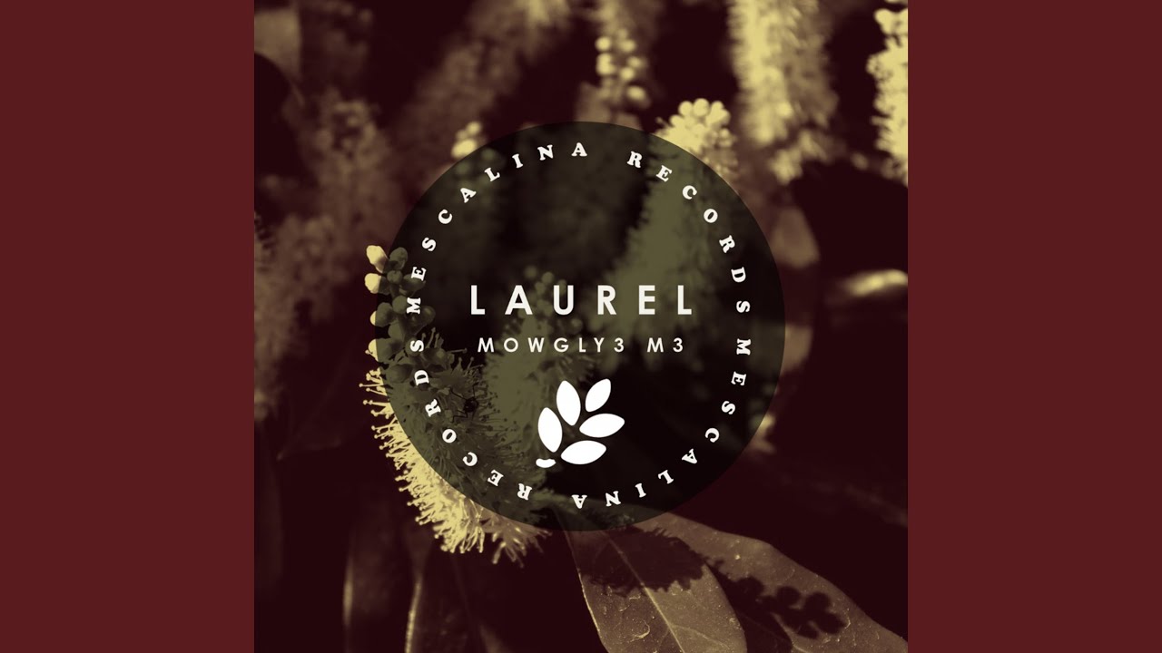 Tonton Laurel di YouTube