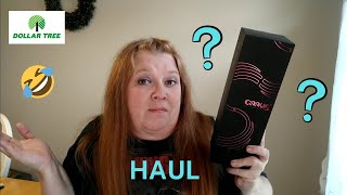 DOLLAR TREE HAUL | WHAT IN THE WORLD IS THIS?! | NEW FALL DECOR