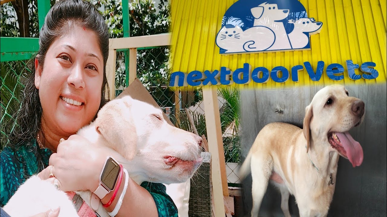 Best Pet Clinic in Bangalore Best place for Pet Grooming near