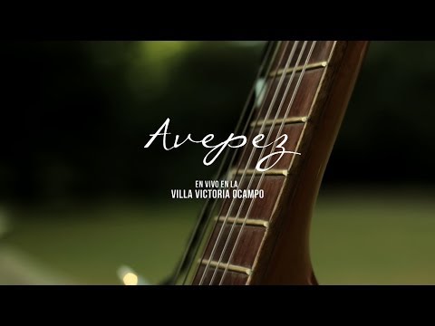 "Buscar palabras" - Ave Pez en vivo en la Villa Victoria - Cuatro40