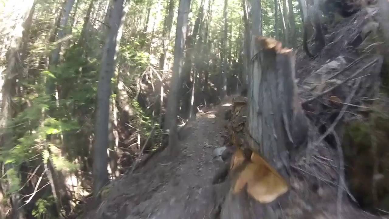 Gold Creek Idaho Trail to hill climb YouTube
