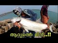 INDIAN SALMON_വാഴ്മീൻ