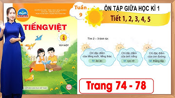 Tiếng việt lớp 4 chân trời sáng tạo tuần 9 | Ôn tập giữa học kì 1 tiết 1 đến tiết 5