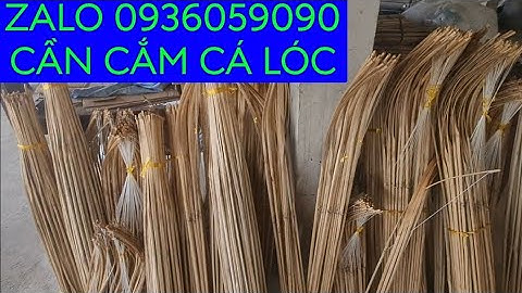 Cung cấp cần câu cắm cá lóc bằng tre gai. Cần câu cắm cá. Cần câu cắm bằng tre gai già. Bán cần câu.