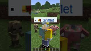 Did you know this Minecraft Fact?