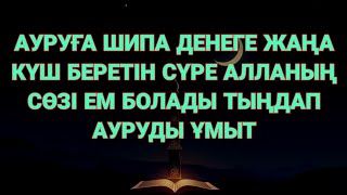 :      Ҳ YPE  ǲ     