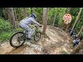 Red Bull Hardline Tasmania 2026 (Seeding)