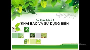 BTH 3: KHAI BÁO VÀ SỬ DỤNG BIẾN | Tin học 8 (Pascal)