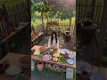Heal Taste Buds, Warm Big Plate # Chicken​#youtubeshorts #bestscenery #shorts  #funny #foryou #fyp