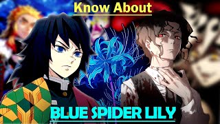 The Rare Blue Spider Lily Explained In Hindi Demon Slayer Kimetsu no Yaiba