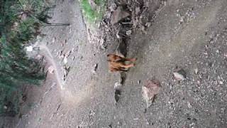 MVI_1038.AVI