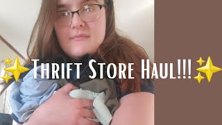 Thrift Store Haul....15 Items for Under 30 Dollars??