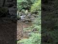 Blue Ridge Mountains Adventures
