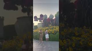 حديقة الزهور دبي الإمارات #Miracle garden Dubai