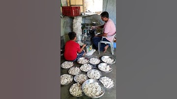 Automatic Baby Samosa Machine #food #viral #shorts