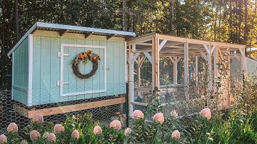 Building a Large Predator Proof Chicken Run